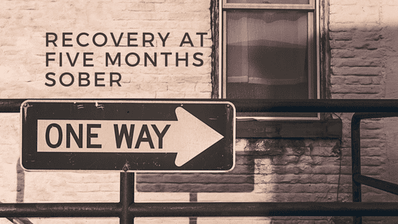 Recovery Excavation at Five Months Sober