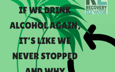 RE 88: If We Drink Alcohol Again, It’s Like We Never Stopped and Why