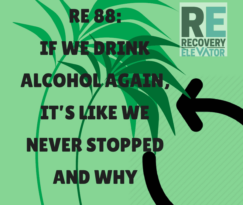 RE 88: If We Drink Alcohol Again, It’s Like We Never Stopped and Why