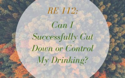 RE 112: Can I Successfully Cut Down or Control My Drinking?