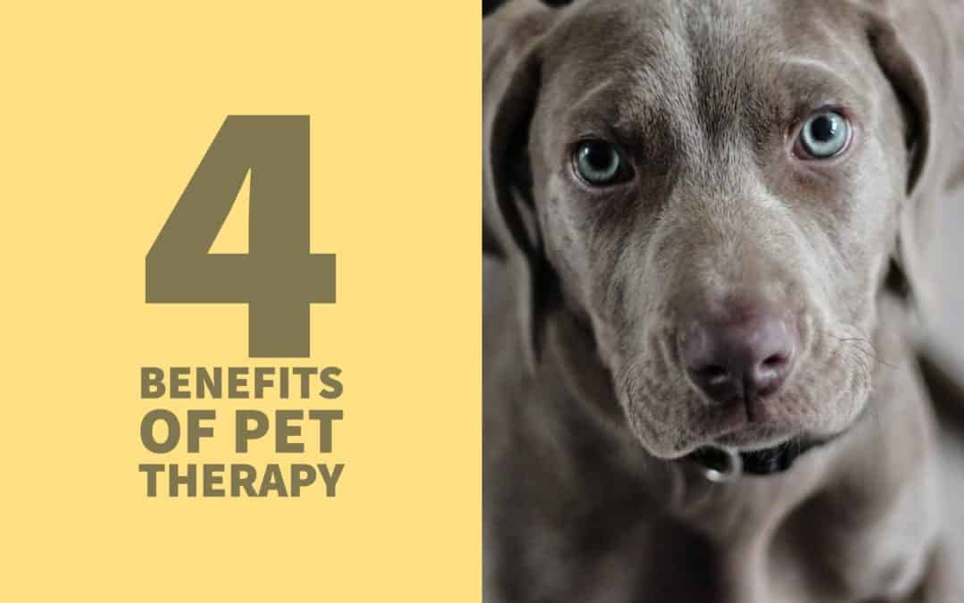 4 Benefits of Pet Therapy