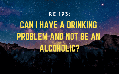 RE 193: Can I have a drinking problem and not be an Alcoholic?