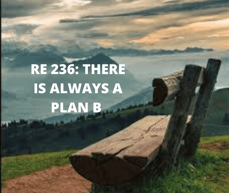 RE 236: There is Always a Plan B