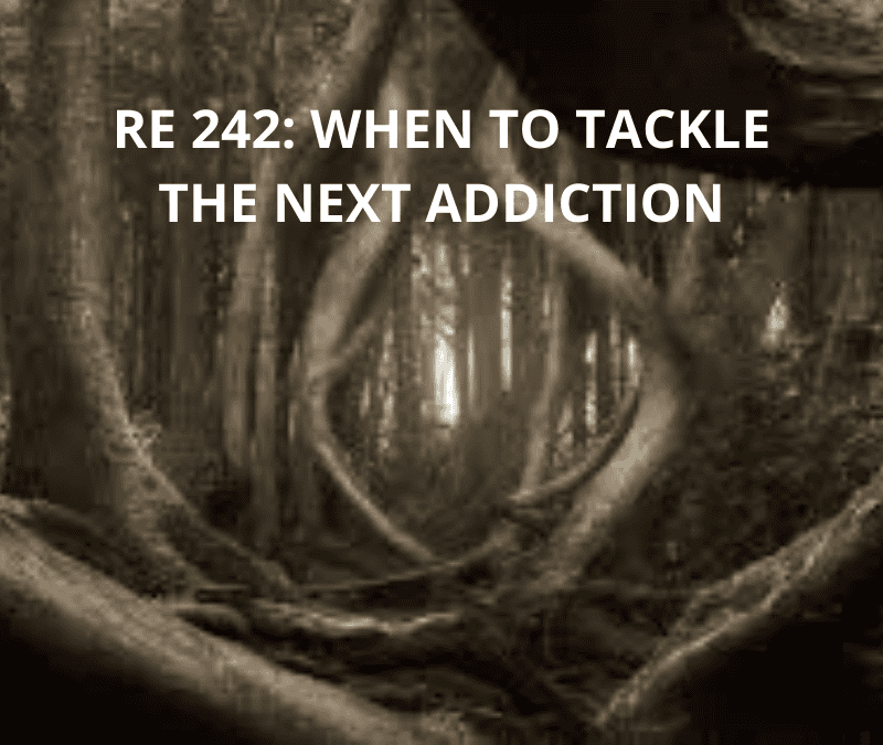 RE 242: When to Tackle the Next Addiction