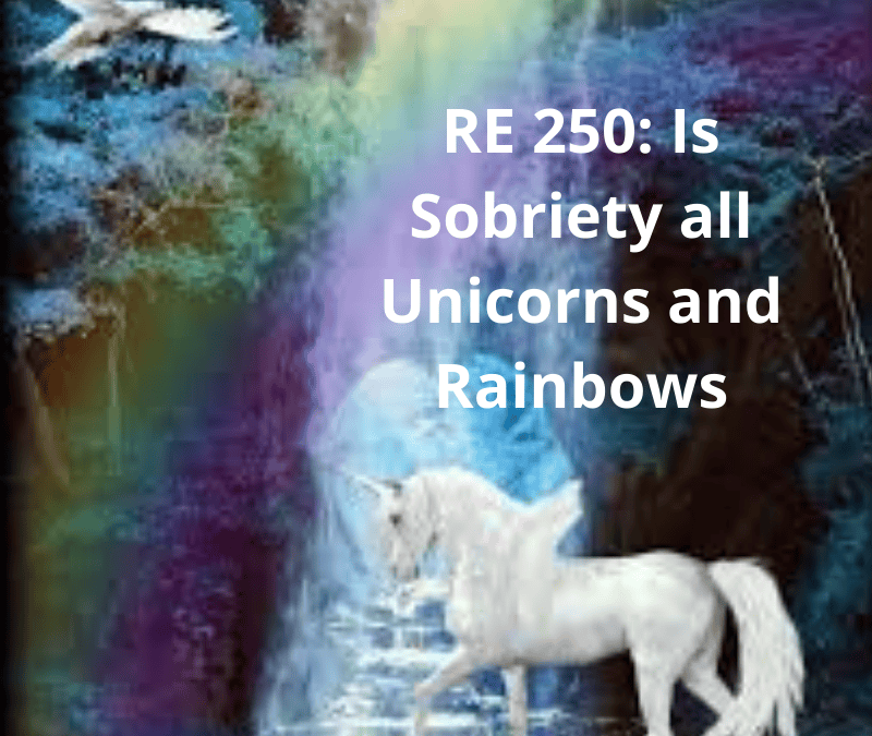 RE 250: Is Sobriety all Unicorns and Rainbows?