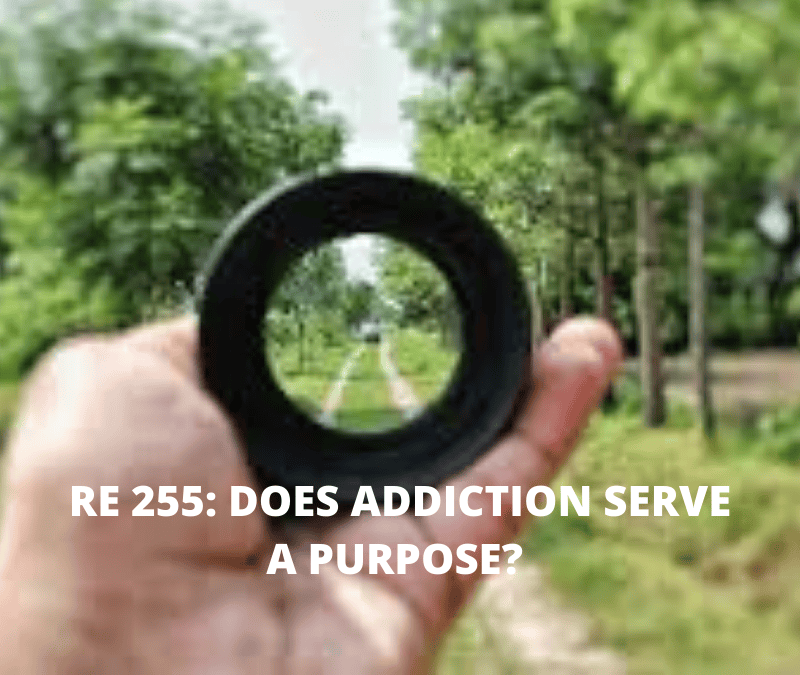 RE 255: Does Addiction Serve a Purpose?