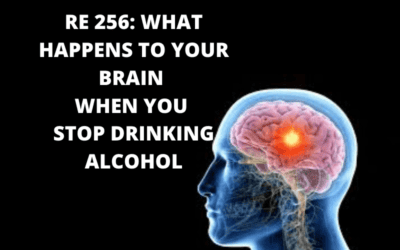 RE 256: What Happens to Your Brain When You Stop Drinking Alcohol