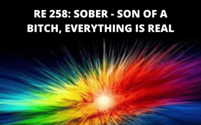 RE 258: SOBER – Son of a Bitch, Everything’s Real