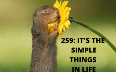 RE 259: It’s the Simple Things in Life