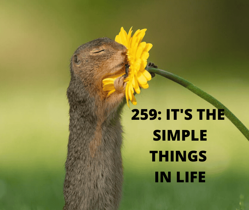 RE 259: It’s the Simple Things in Life