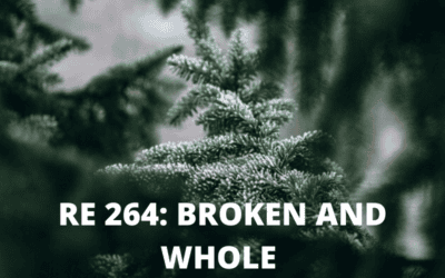 RE 264: Broken and Whole