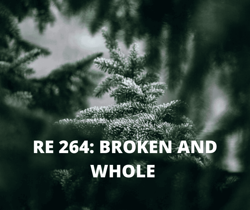 RE 264: Broken and Whole