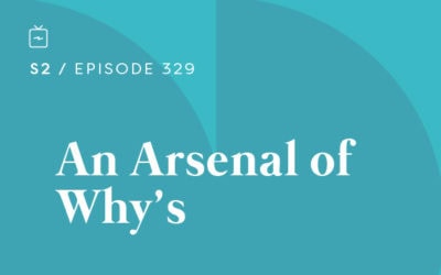 RE 329: An Arsenal of Why’s