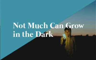 Not Much Can Grow in the Dark  