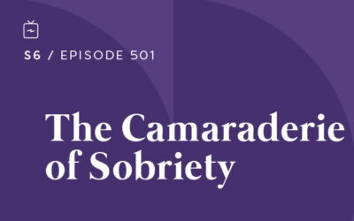 RE 501: The Camaraderie of Sobriety