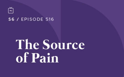 RE 516: The Source of Pain